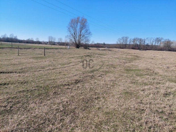 1000 n�gyzetm�ter szabads�g  a d�nt�s az �n kez�ben