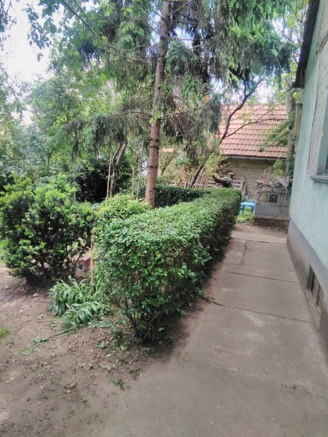 1000 n�gyzetm�teres telek, kis h�zzal, k�ttal 