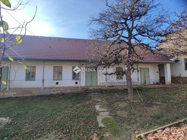 100 nm-es h�z elad� Kakasd