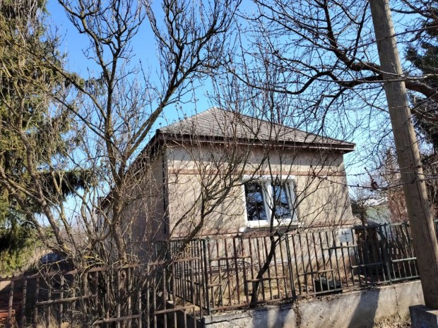 100 nm-es h�z elad� Kisvars�ny