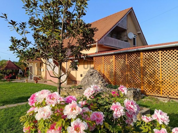 100 nm-es h�z elad� Letenye