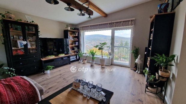 100 nm-es h�z elad� P�cs