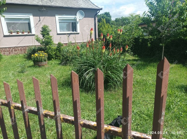 102 nm-es h�z elad� Pacsa