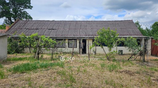 102 nm-es h�z elad� Szentes