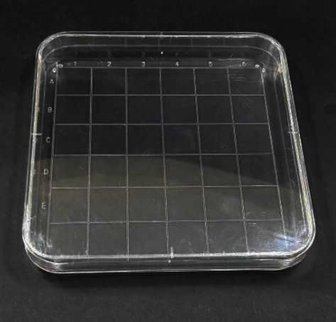10db MŰanyag Petri Csésze 10x10mm (4315)
