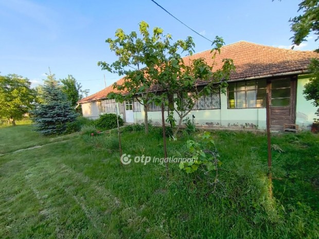 111 nm-es h�z elad� Kardos