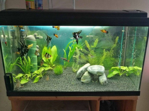 120 Literes Aquarium