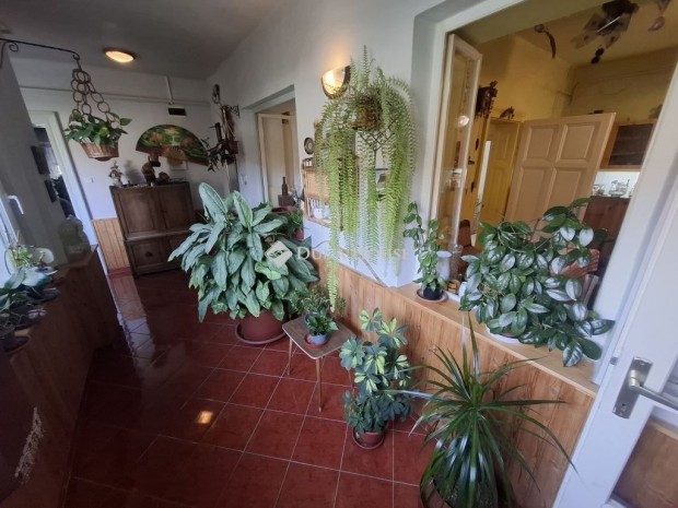 121 nm-es h�z elad� Tiszaalp�r