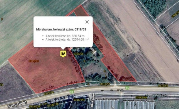 12435 nm-es szántó, 13,91 AK , közvetlen az 55-ös főút mellett