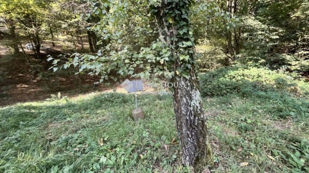 1247 nm-es telek elad� K�szeg