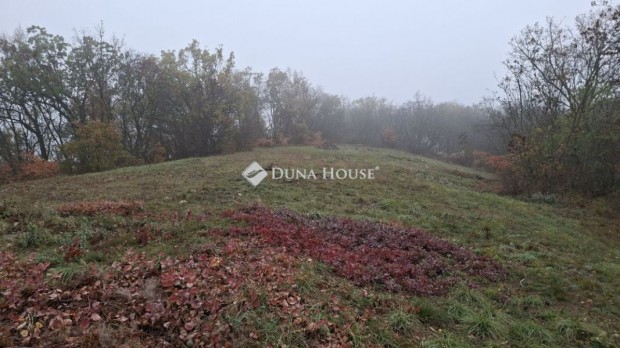 1286 nm-es telek elad� Balatonsz�l�s