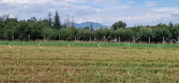 1363 m2-es ptsi telek elad Srospatakon a Vgard Frd kzelben!