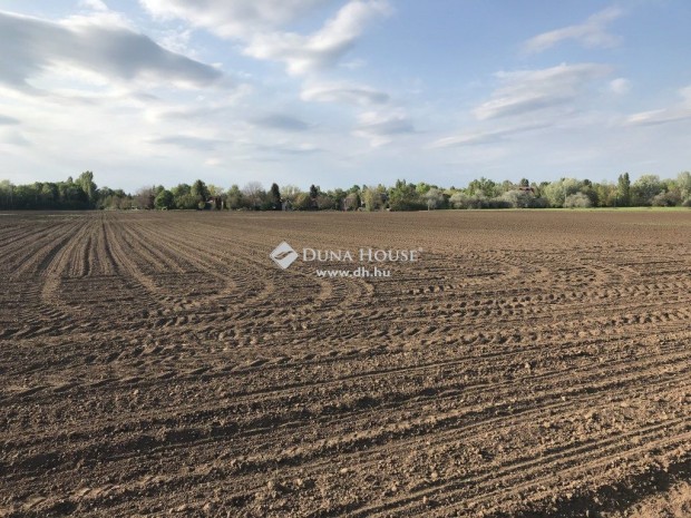 13791 nm-es telek elad� G�rdony