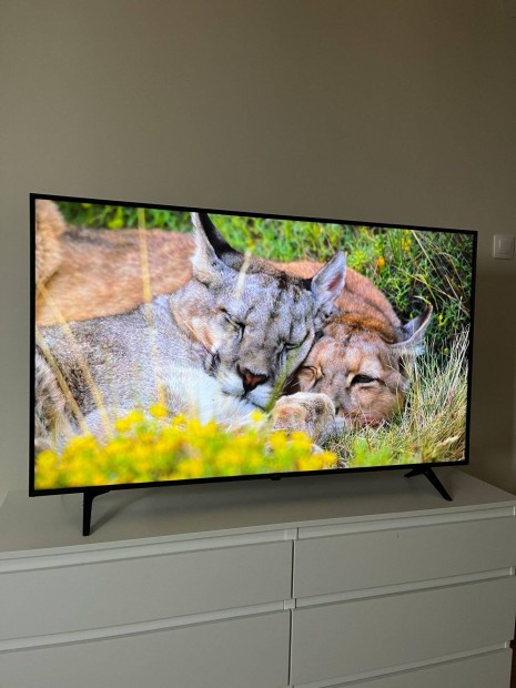 139 CM LG 4K UHD TV Tles Kppel!