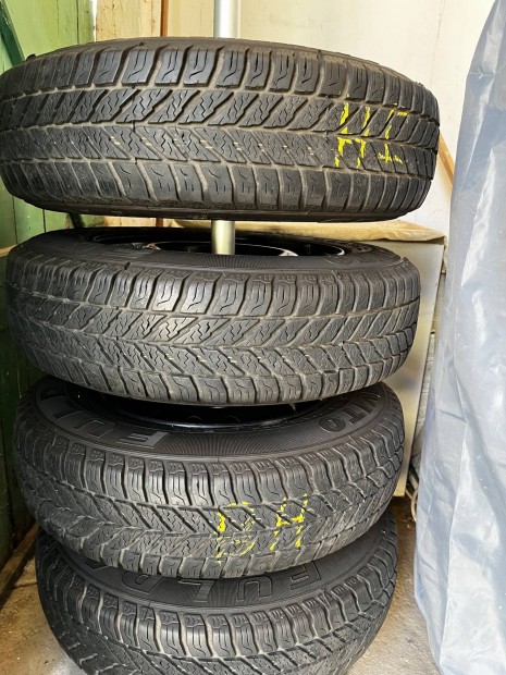 13 colos Tligumi Fiat felnivel