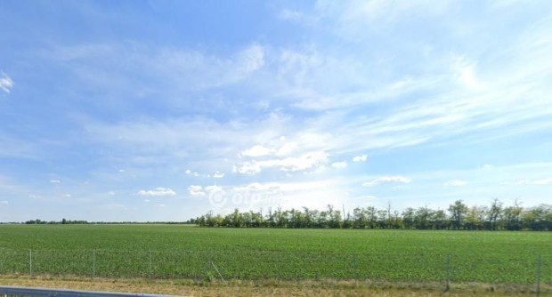 144055 nm-es sznt elad Kamut