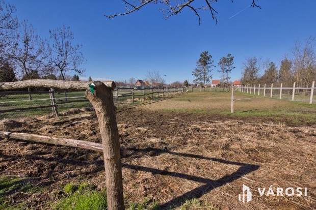 1450 m2-es telek kar�mmal, l� box-szal, kish�zzal elad�