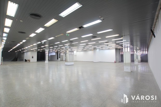 1580 m2-es, belv�rosi �zlethelyis�g kiemelt helyen kiad�