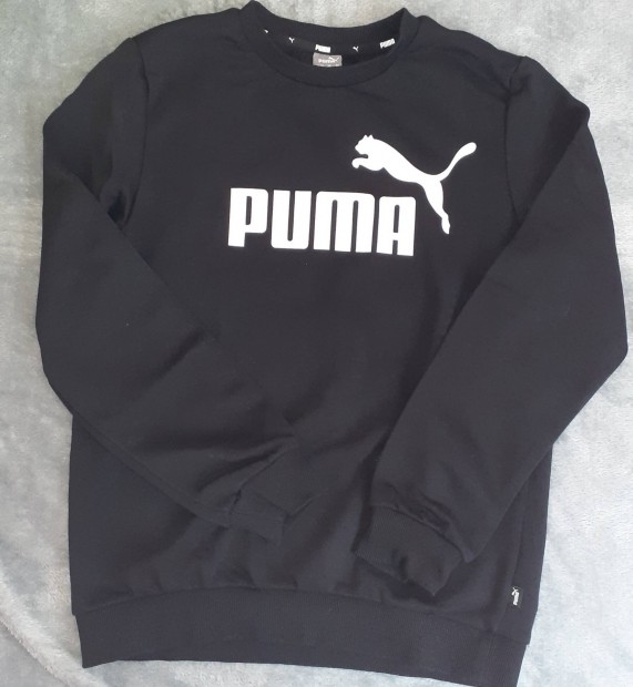 158-164-es Puma melegt