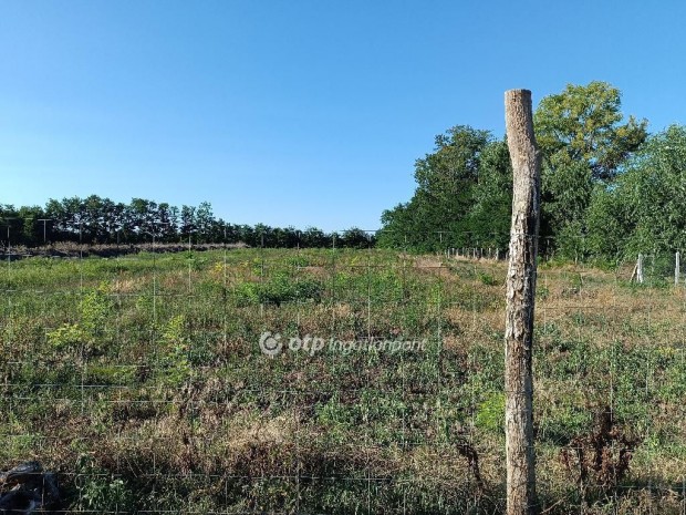 16000 nm-es telek elad� Ny�regyh�za