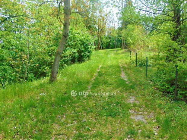 1610 nm-es telek elad� Zalaegerszeg