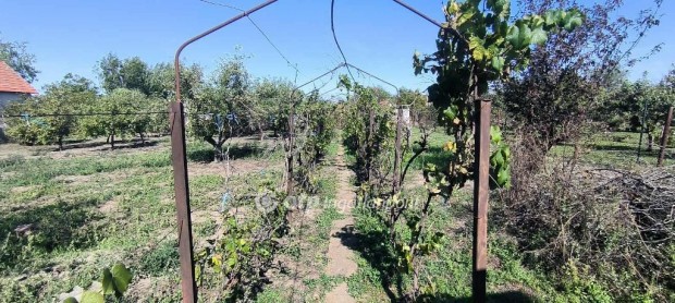 1616 nm-es telek elad� B�k�scsaba