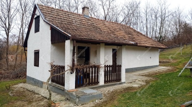 1694 nm-es telek elad� Pacsa