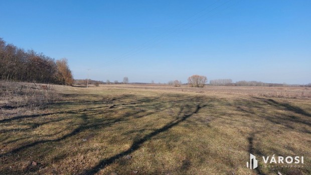 16 hekt�ros, sokoldal�an hasznos�that� ter�let elad�