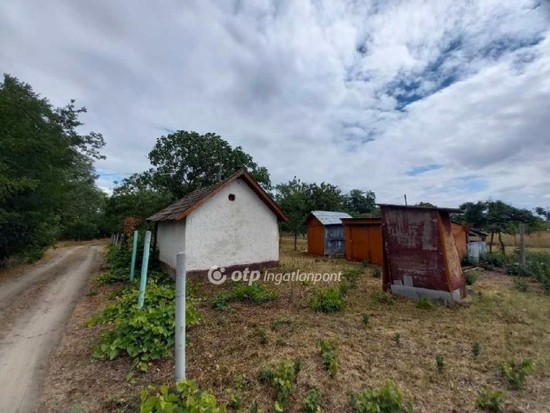 16 nm-es h�z elad� Csongr�d