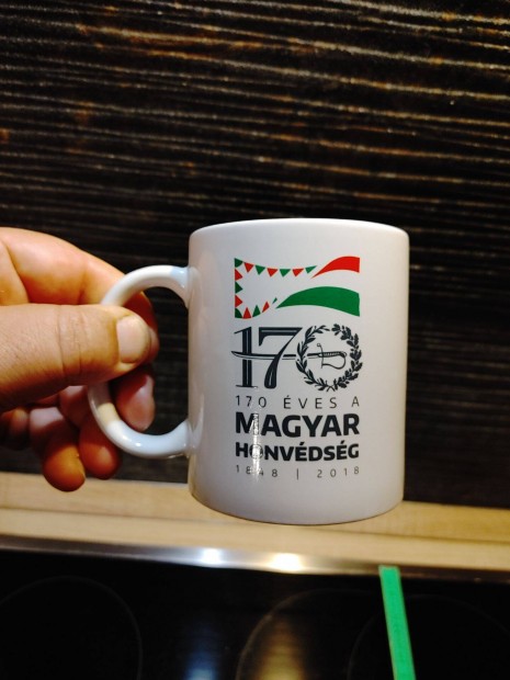 170 ves a Magyar Honvdsg 2018 bgre gyjtknek kard zszl