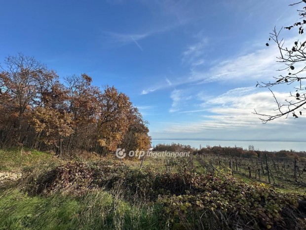 1711 nm-es telek elad� Balatonszepezd
