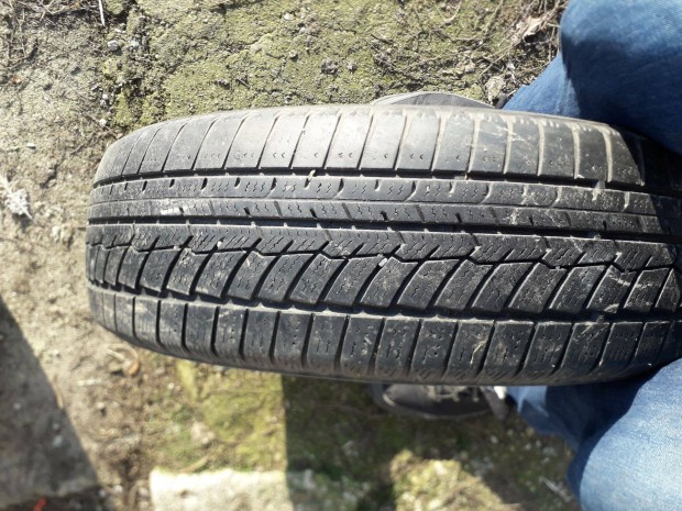 175/70 R14 tli gumi elad