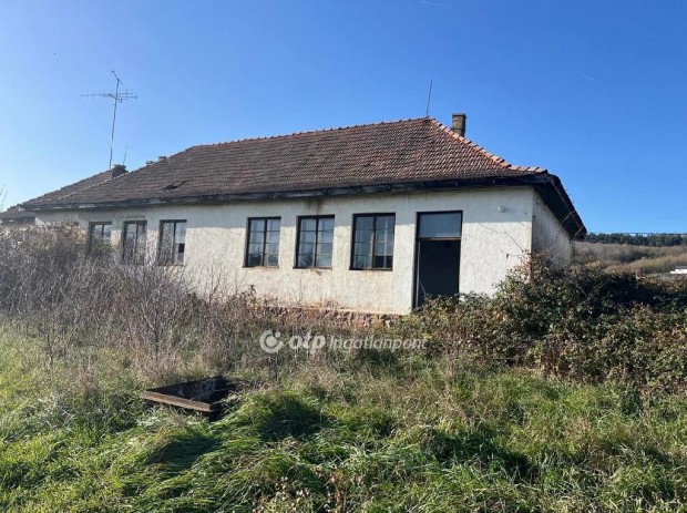 187 nm-es h�z elad� Szeksz�rd