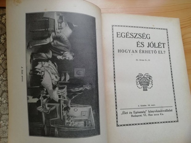 1919-es kiads "Egszsg s jlt" szakknyv