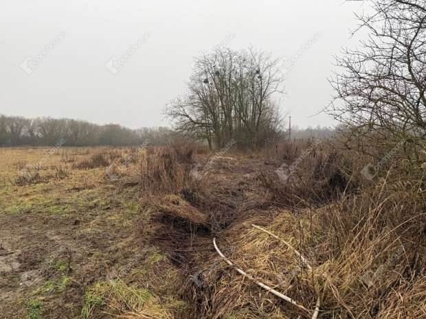 19411 nm-es telek elad� Zalaegerszeg
