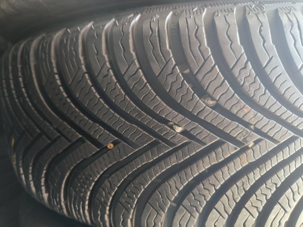 195/55R16 195/55 Michelin Alpin tligumik