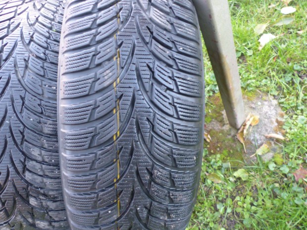 195/65 R15 Nokian WR D3 Tli gumi