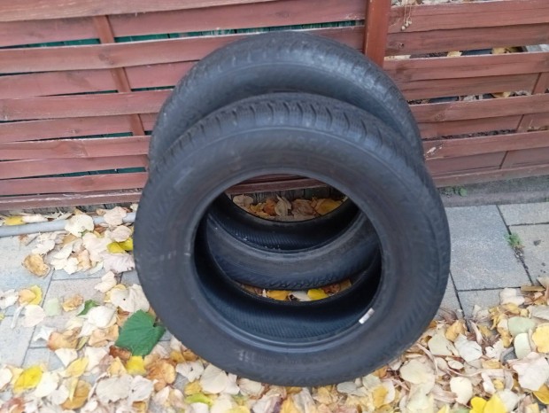 195/65x15 Eurofrost t�ligumi 2db 15e