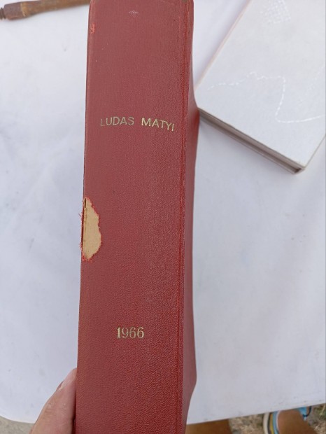 1966 Ludas Matyi teljes vad 