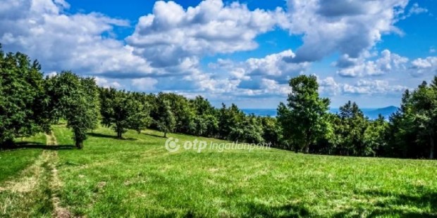 19800 nm-es telek elad� Ajak