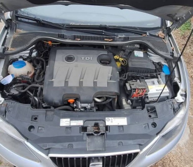 1.6 Crtdi Cay motor