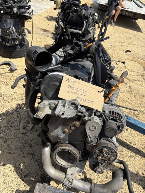 1.9 pd Auy motor