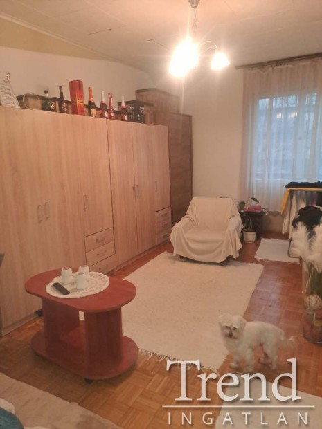 1. emeleti lak�s elad� a T�ncsics M. utc�ban.