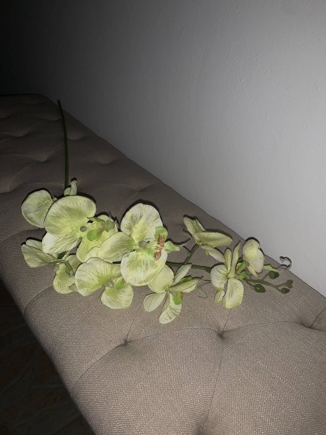 1 m Hossz Orchidea elad