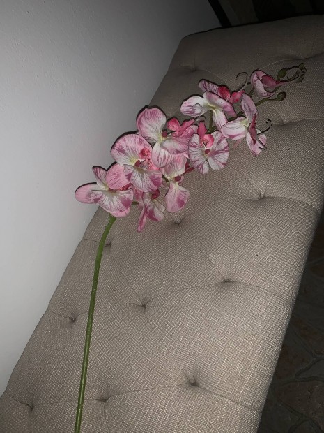 1 m hossz orchidea elad