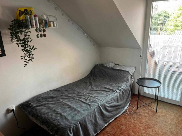 1 szobs apartman kiad Egerben
