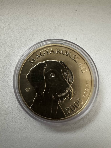 2000 Forint 2019 Magyar Vizsla Kutya rme UNC