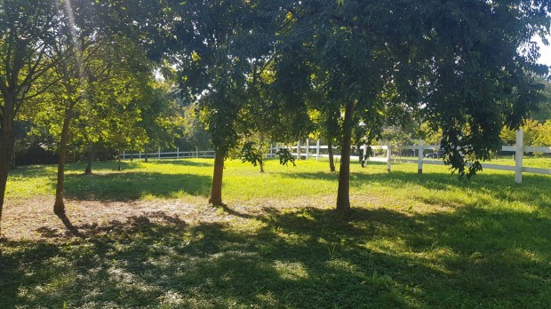 2000 m2 belter�leti telek kiv�l� helyen