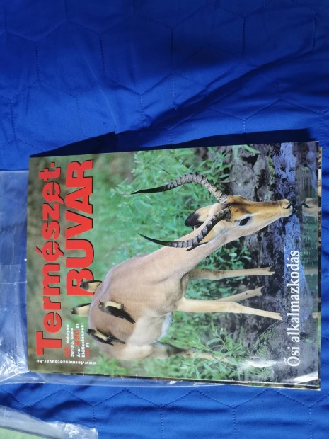 2009-2010 Termeszet-Bulvár és Galaktika magazin