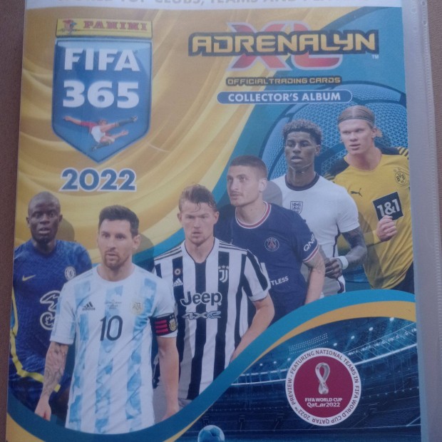 2022 FIFA focis krtya album